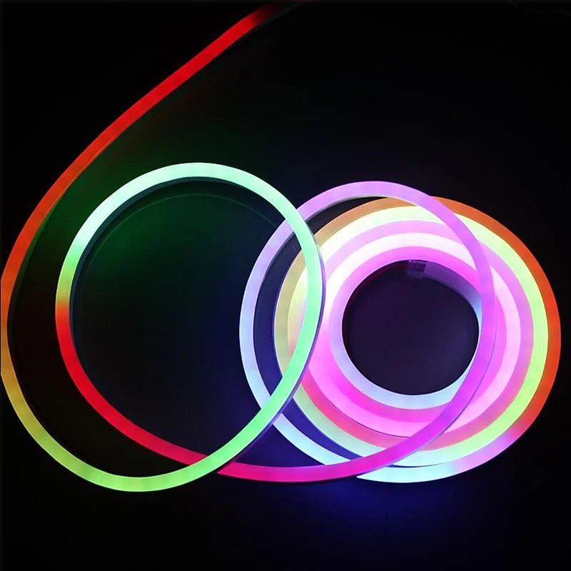 Neon LED Strip Lights 24V with Music Sync RGBIC (Full Kit)