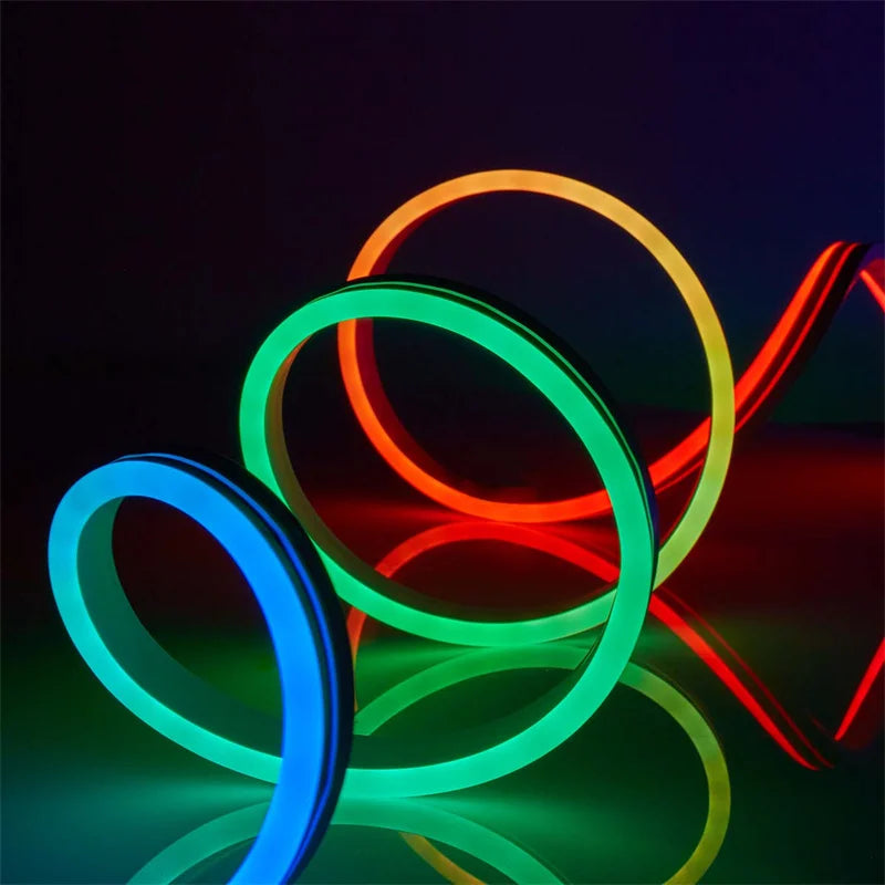 Neon LED Strip Lights 24V with Music Sync RGBIC (Full Kit)