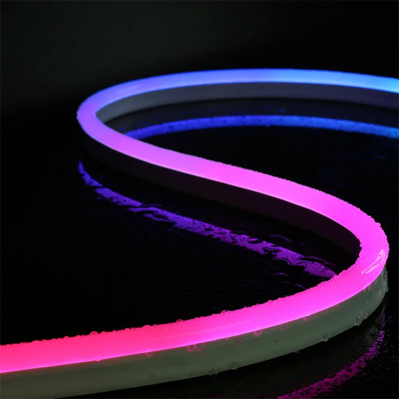 Neon LED Strip Lights 24V with Music Sync RGBIC (Full Kit)