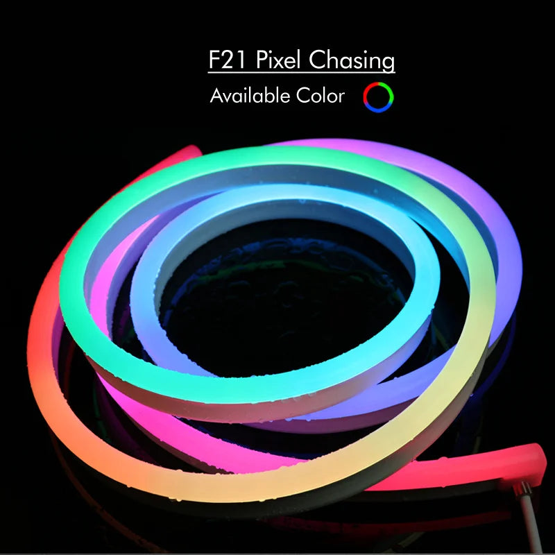 Neon LED Strip Lights 24V with Music Sync RGBIC (Full Kit)