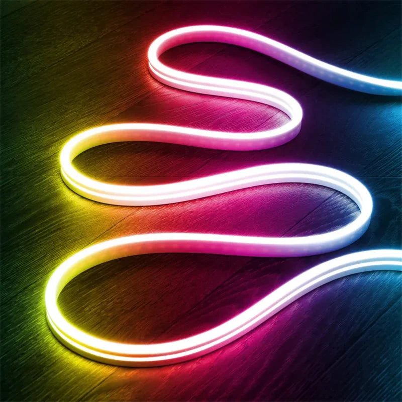 Neon LED Strip Lights 24V with Music Sync RGBIC (Full Kit)