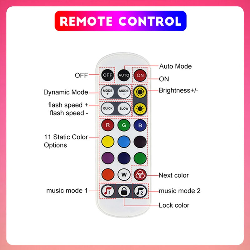 Neon LED Strip Lights 24V with Music Sync RGBIC (Full Kit)