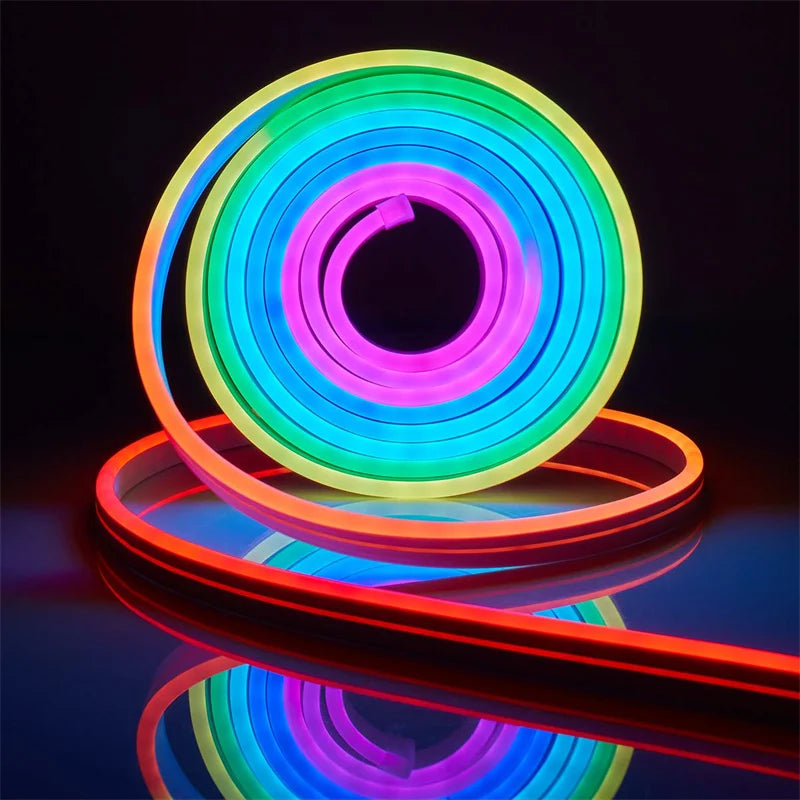 Neon LED Strip Lights 24V with Music Sync RGBIC (Full Kit)